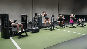 The Abs Company Retailer in Austin TX